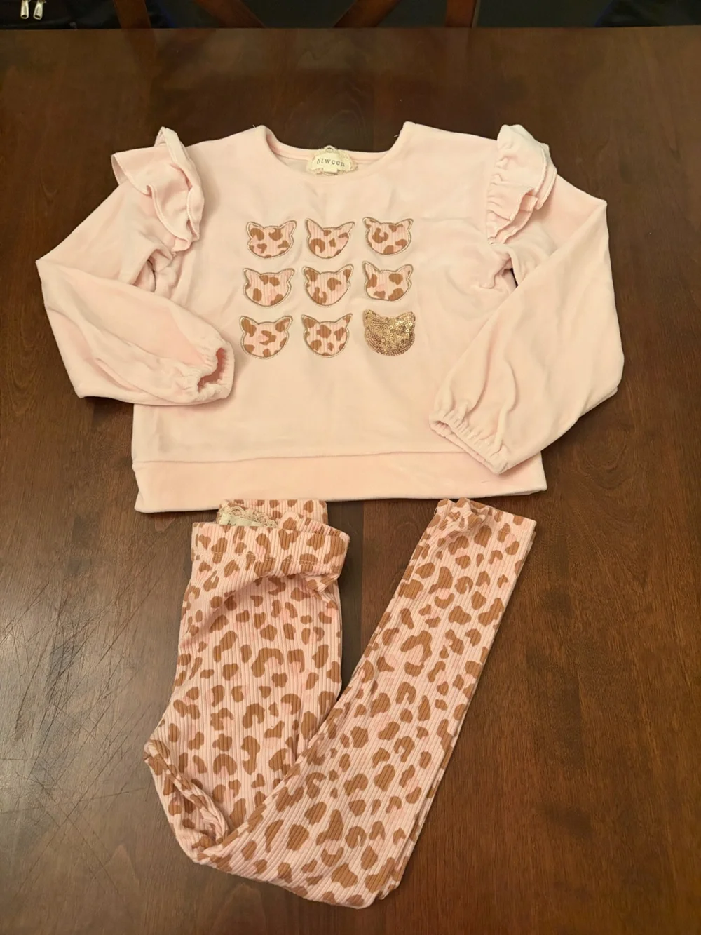 Girl Pink Leopard Cat Graphic Matching Set, size 6.